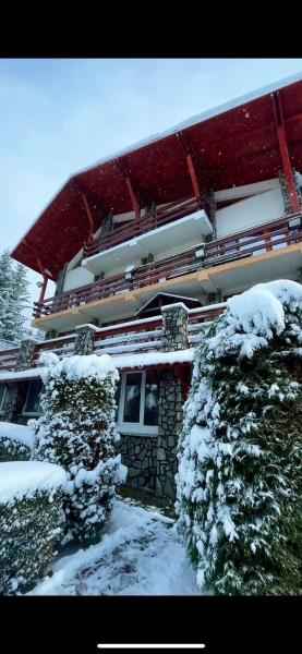 Venus - Apartamente de închiriat Buşteni